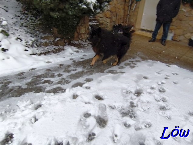 24.12.2025 - Schnee, Hurra!